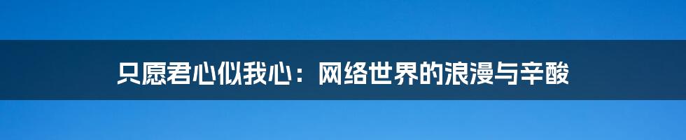 只愿君心似我心：网络世界的浪漫与辛酸