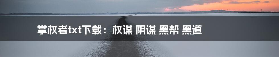 掌权者txt下载：权谋 阴谋 黑帮 黑道