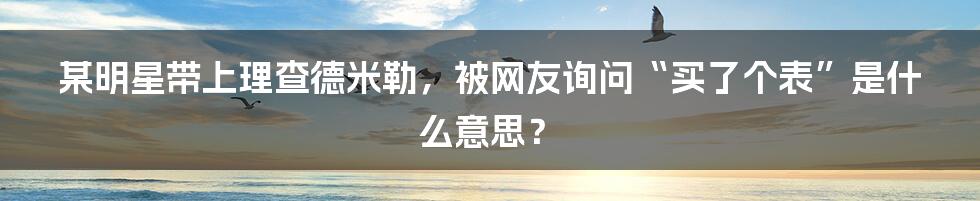 某明星带上理查德米勒，被网友询问“买了个表”是什么意思？