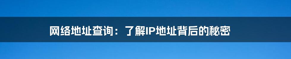 网络地址查询：了解IP地址背后的秘密