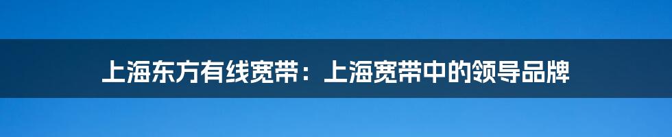 上海东方有线宽带：上海宽带中的领导品牌