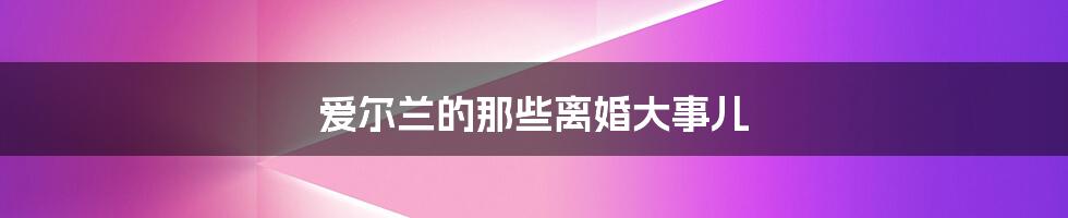 爱尔兰的那些离婚大事儿