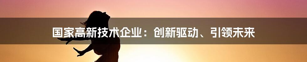 国家高新技术企业：创新驱动、引领未来