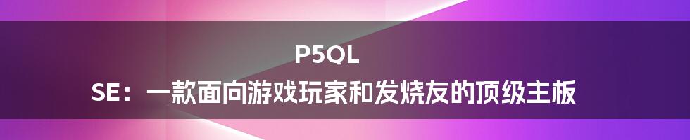 P5QL SE：一款面向游戏玩家和发烧友的顶级主板