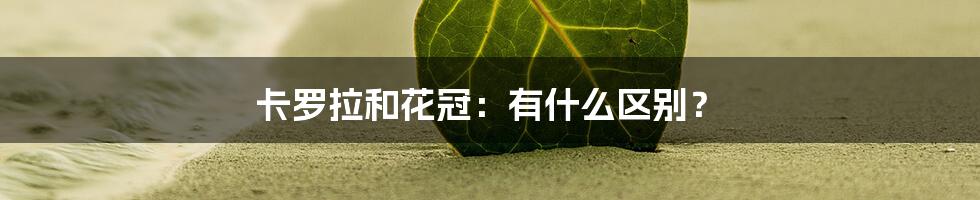 卡罗拉和花冠：有什么区别？