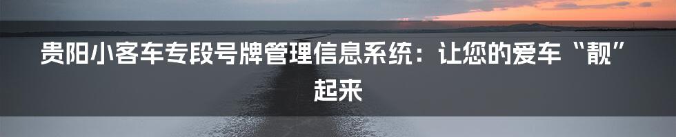 贵阳小客车专段号牌管理信息系统：让您的爱车“靓”起来