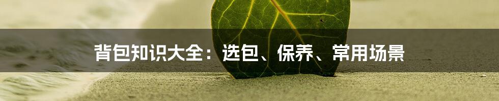 背包知识大全：选包、保养、常用场景