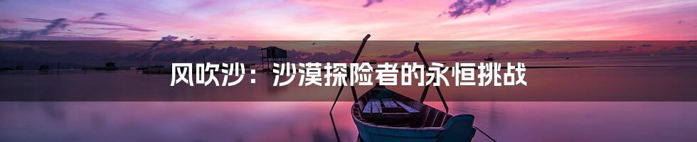 风吹沙：沙漠探险者的永恒挑战