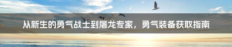 从新生的勇气战士到屠龙专家，勇气装备获取指南