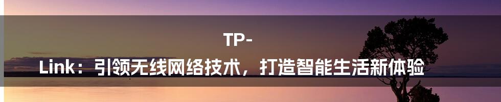 TP-Link：引领无线网络技术，打造智能生活新体验