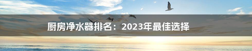 厨房净水器排名：2023年最佳选择