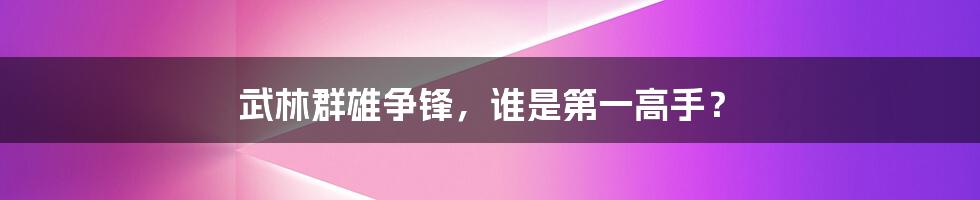 武林群雄争锋，谁是第一高手？