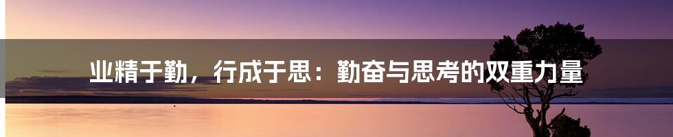 业精于勤，行成于思：勤奋与思考的双重力量