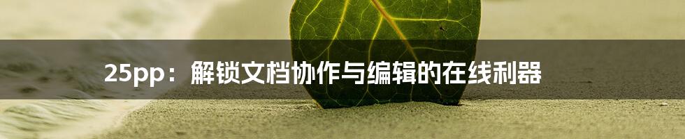 25pp：解锁文档协作与编辑的在线利器