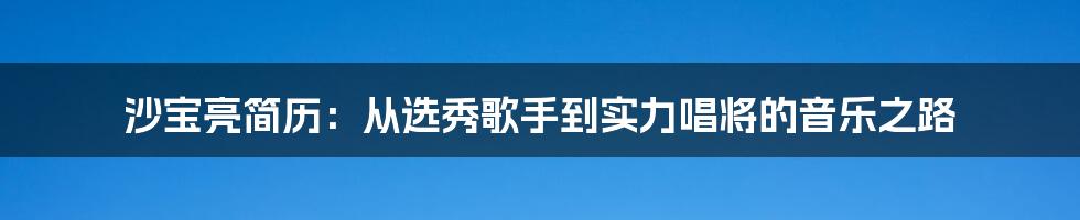 沙宝亮简历：从选秀歌手到实力唱将的音乐之路