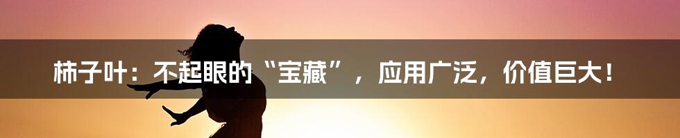 柿子叶：不起眼的“宝藏”，应用广泛，价值巨大！