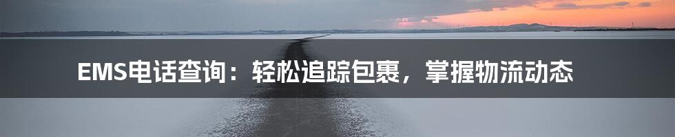 EMS电话查询：轻松追踪包裹，掌握物流动态