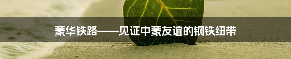 蒙华铁路——见证中蒙友谊的钢铁纽带