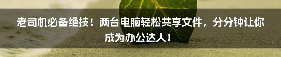 老司机必备绝技！两台电脑轻松共享文件，分分钟让你成为办公达人！