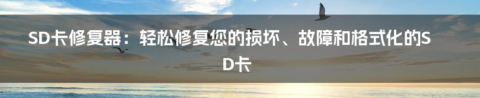 SD卡修复器：轻松修复您的损坏、故障和格式化的SD卡