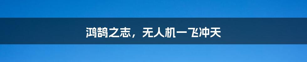 鸿鹄之志，无人机一飞冲天