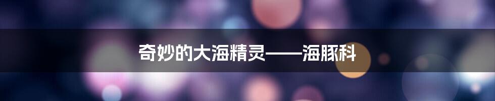 奇妙的大海精灵——海豚科