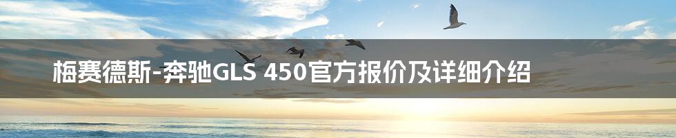 梅赛德斯-奔驰GLS 450官方报价及详细介绍