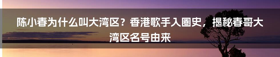 陈小春为什么叫大湾区？香港歌手入圈史，揭秘春哥大湾区名号由来