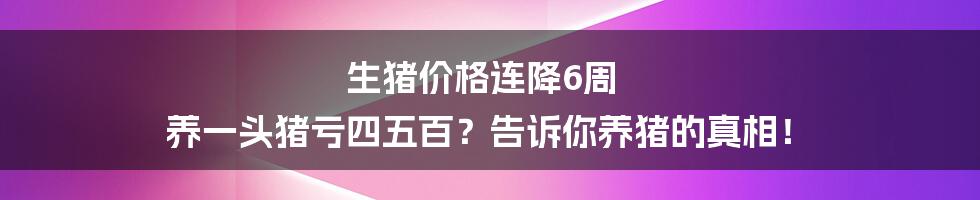 生猪价格连降6周 养一头猪亏四五百？告诉你养猪的真相！