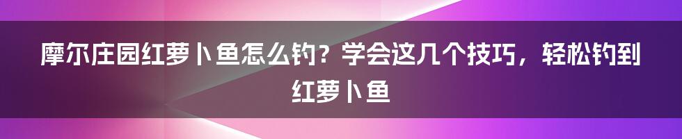 摩尔庄园红萝卜鱼怎么钓？学会这几个技巧，轻松钓到红萝卜鱼