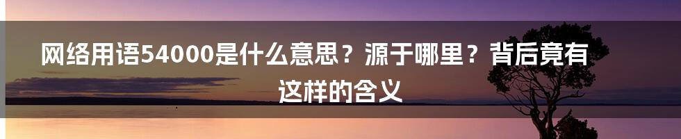 网络用语54000是什么意思？源于哪里？背后竟有这样的含义