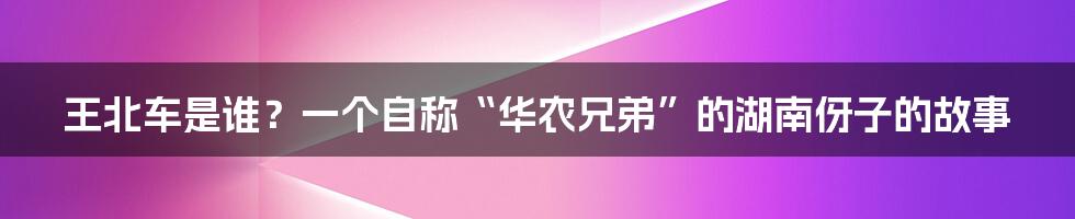 王北车是谁？一个自称“华农兄弟”的湖南伢子的故事