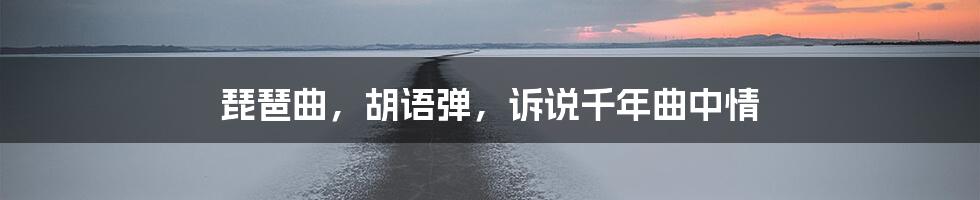 琵琶曲，胡语弹，诉说千年曲中情