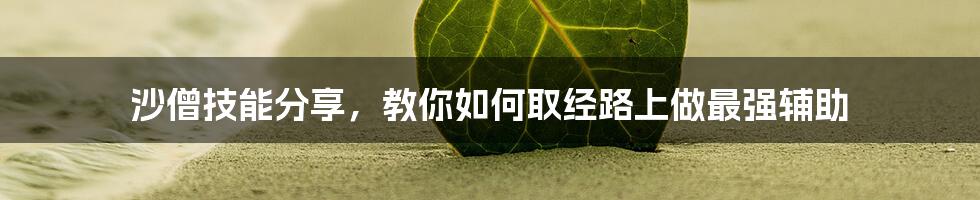 沙僧技能分享，教你如何取经路上做最强辅助