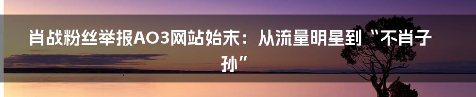 肖战粉丝举报AO3网站始末：从流量明星到“不肖子孙”