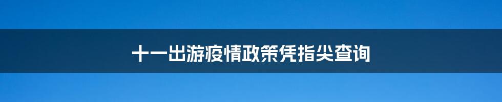 十一出游疫情政策凭指尖查询