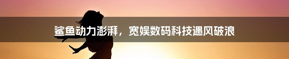 鲨鱼动力澎湃，宽娱数码科技遇风破浪