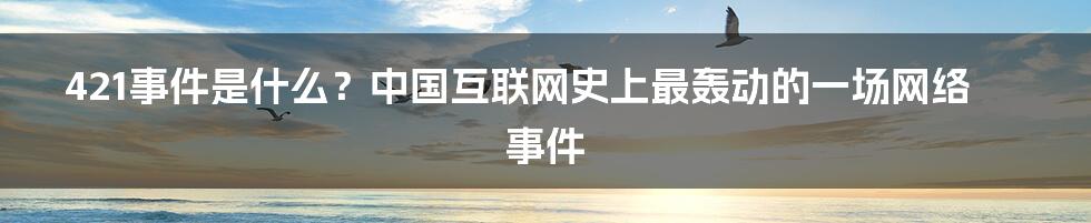 421事件是什么？中国互联网史上最轰动的一场网络事件