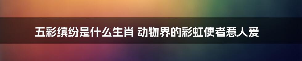 五彩缤纷是什么生肖 动物界的彩虹使者惹人爱