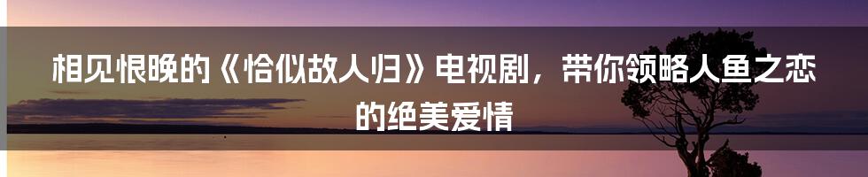 相见恨晚的《恰似故人归》电视剧，带你领略人鱼之恋的绝美爱情