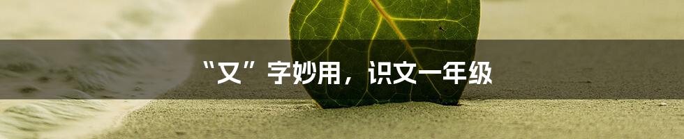 “又”字妙用，识文一年级