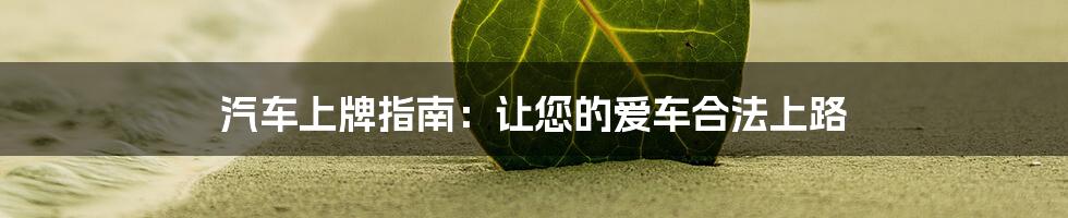 汽车上牌指南：让您的爱车合法上路