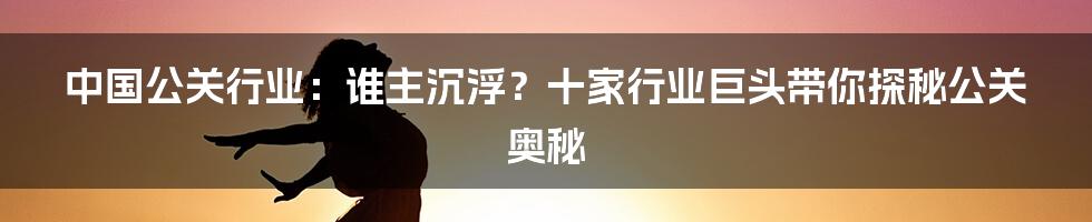 中国公关行业：谁主沉浮？十家行业巨头带你探秘公关奥秘