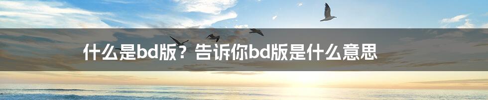 什么是bd版？告诉你bd版是什么意思