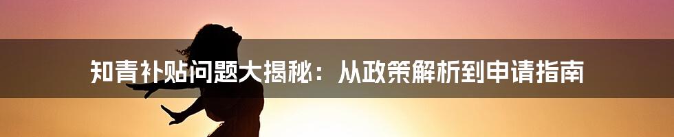 知青补贴问题大揭秘：从政策解析到申请指南