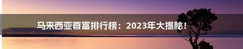 马来西亚首富排行榜：2023年大揭秘！