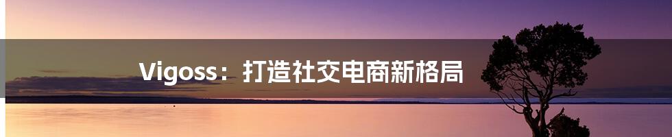 Vigoss：打造社交电商新格局