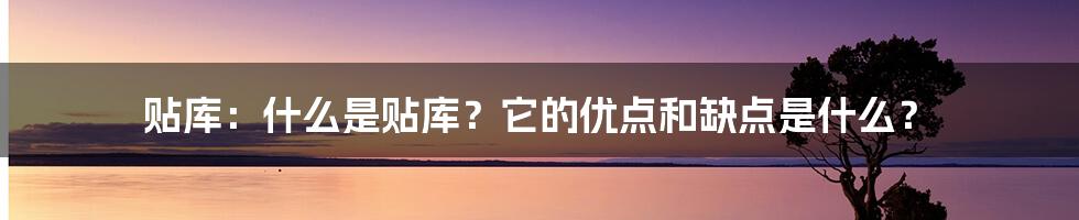 贴库：什么是贴库？它的优点和缺点是什么？