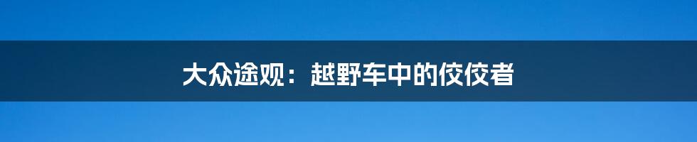 大众途观：越野车中的佼佼者