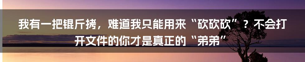 我有一把锟斤拷，难道我只能用来“砍砍砍”？不会打开文件的你才是真正的“弟弟”